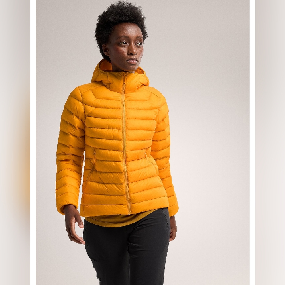 ISO: Arc’teryx Womens Cerium LT Hoody - Medium, Yellow